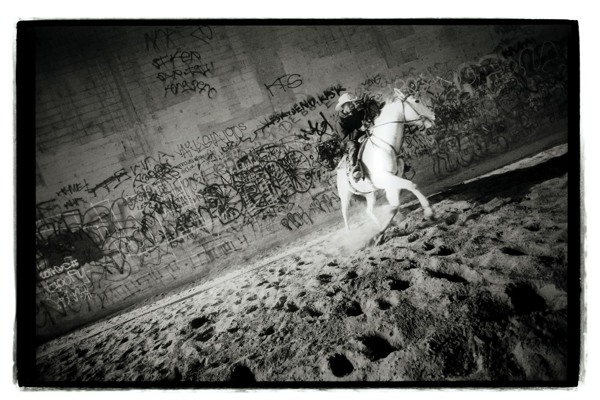 Douglas McCulloh photo. Black and white showing a man on a white horse on a dirt path under a graffitied overpass.