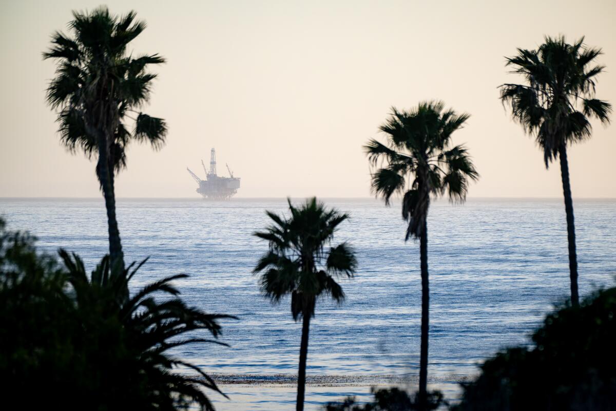 an oil platform and palm trees view of the ocean