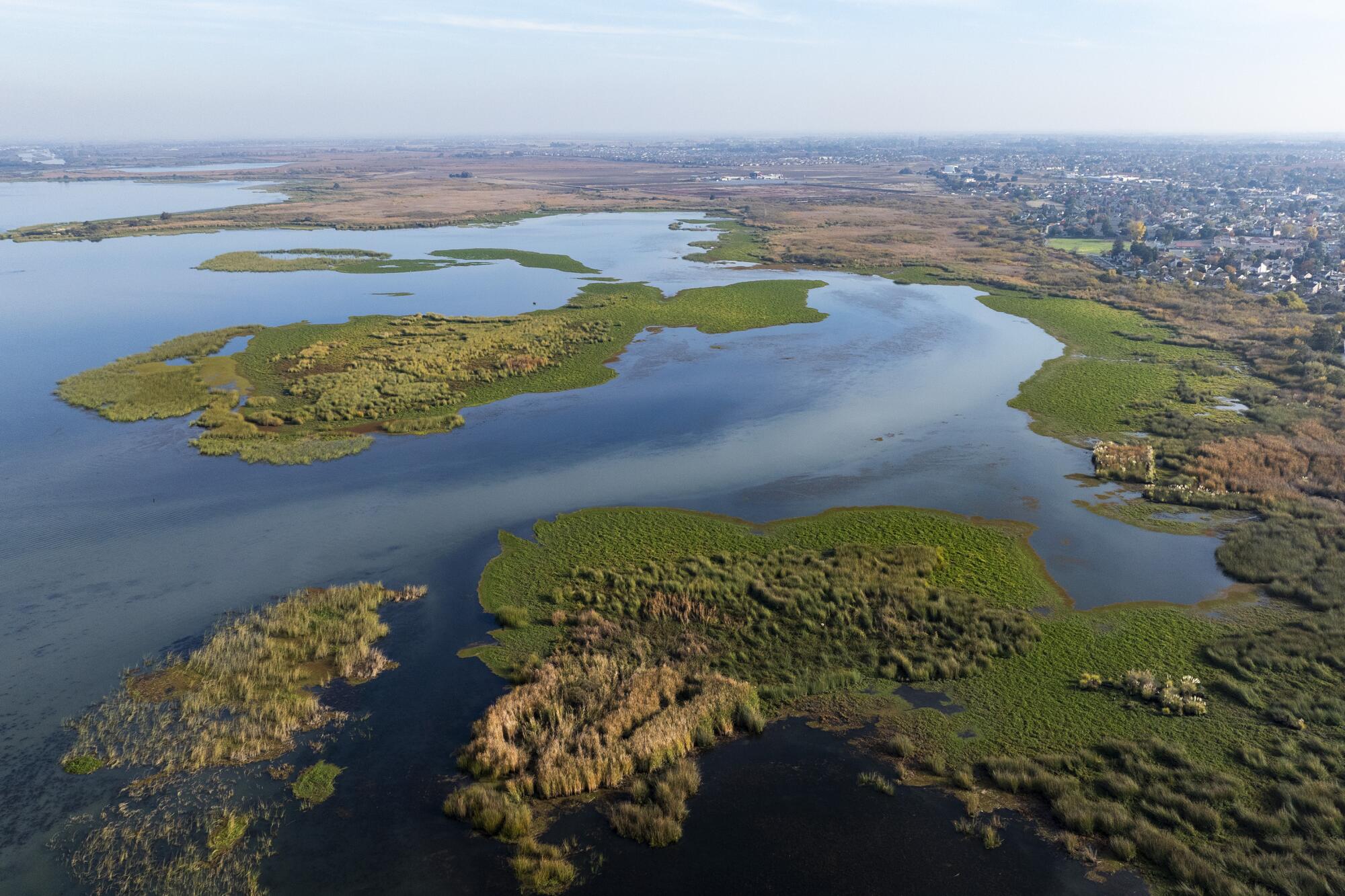 An aerial view of an estuary.