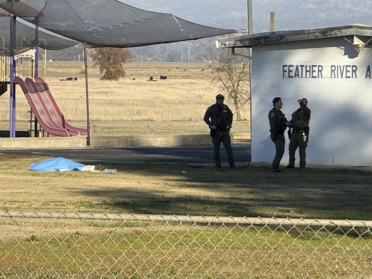 Police officers stand near a tarp next to a playground.