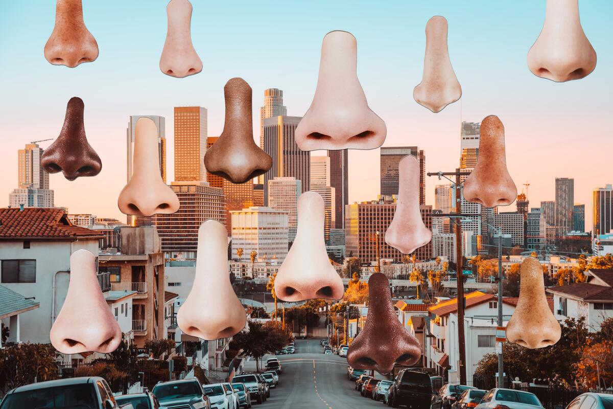 photo collage illustration of a street scene in Los Angeles with several noses floating above the city