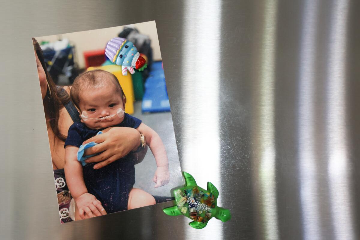 A photo of Stephanie Blanco and her son Vicente Giron Sarria as an infant hangs on the fridge at their home.
